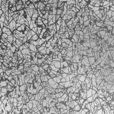 Neurona Reverse